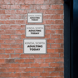 Classic Framed Plus Kinda, Sorta Adulting Today Wall or Door Sign | Funny Home & Office Signage