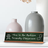 This Is An Autism Friendly Classroom Rose Gold Frame Desk Sign (2x8") | Classroom Special Needs Support