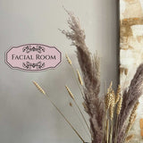 Victorian Plus Facial Room — Wall or Door Sign | Treatment Room - Sign