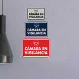 Signs ByLITA Classic Framed Cámara en Vigilancia Security Wall or Door Sign